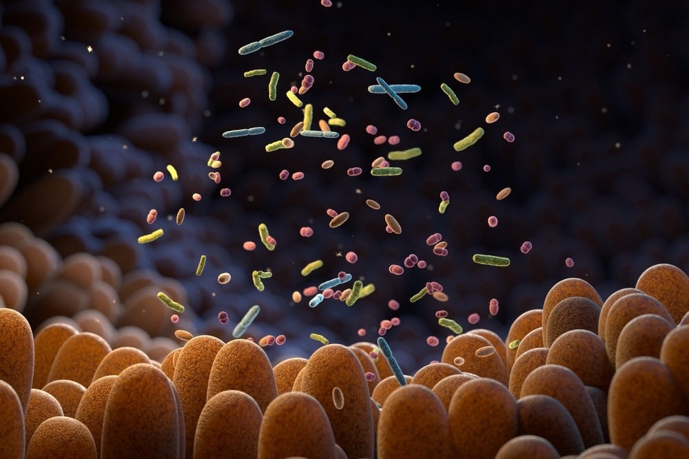 Study: A human gut Faecalibacterium prausnitzii fatty acid amide hydrolase. Image Credit: Tatiana Shepeleva/Shutterstock.com