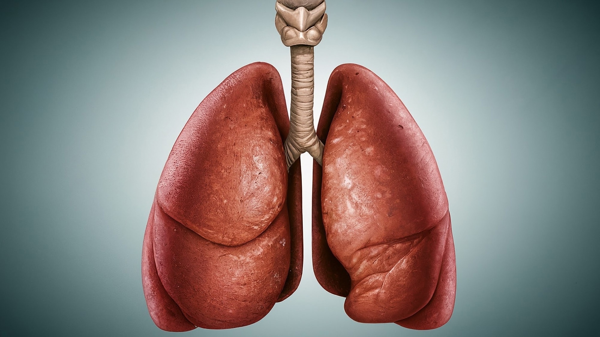 Study: Vitamin D receptor and its antiproliferative effect in human pulmonary arterial hypertension. Image Credit: Shutterstock AI / Shutterstock.com