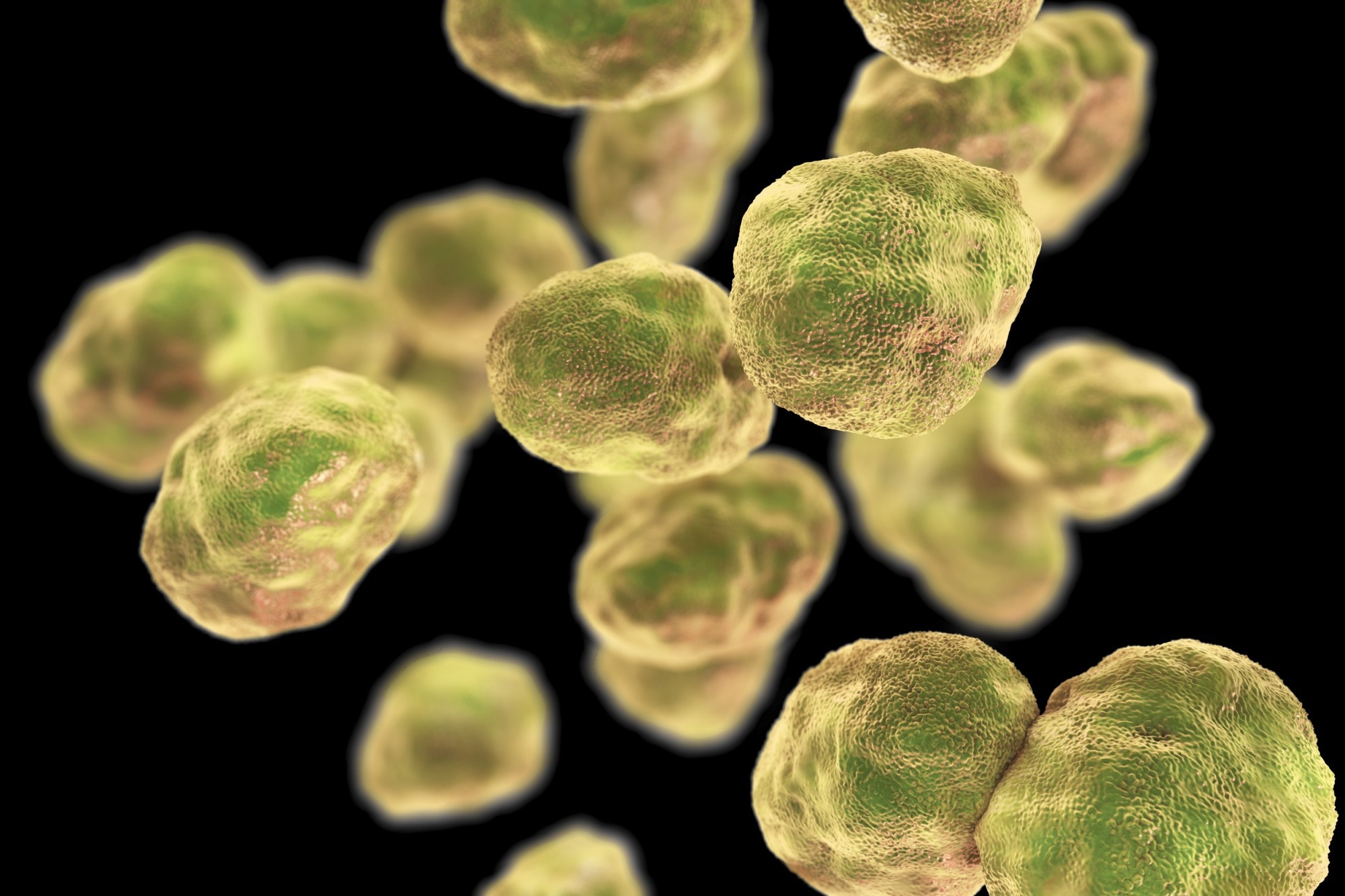 Report: Tularemia — United States, 2011–2022. Image Credit: Kateryna Kon / Shutterstock