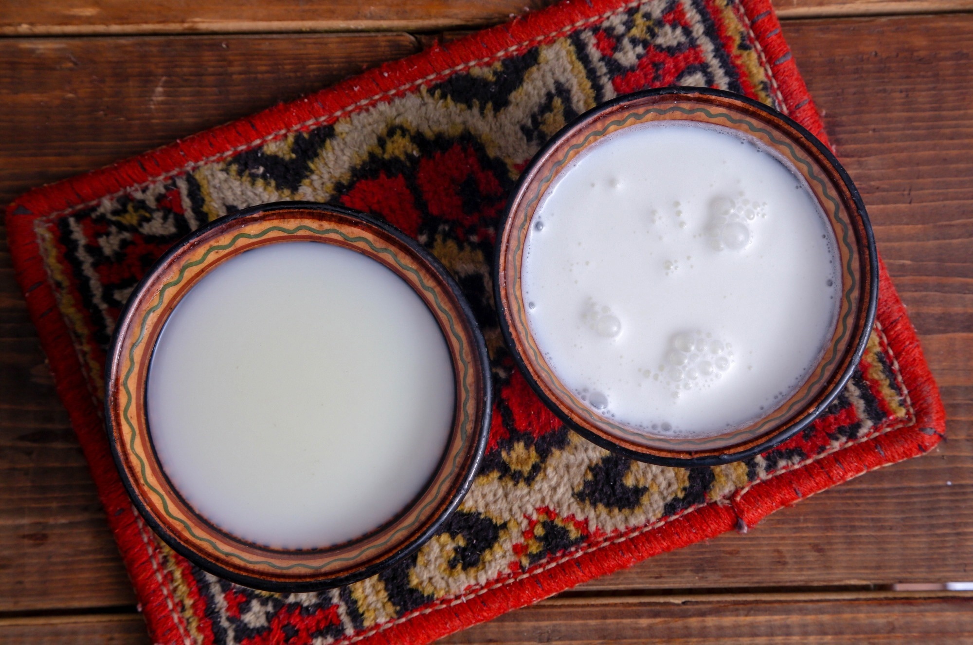 Mare and camel milk in bowls on a rustic background