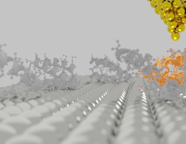 Frequently asked questions about BioAFM