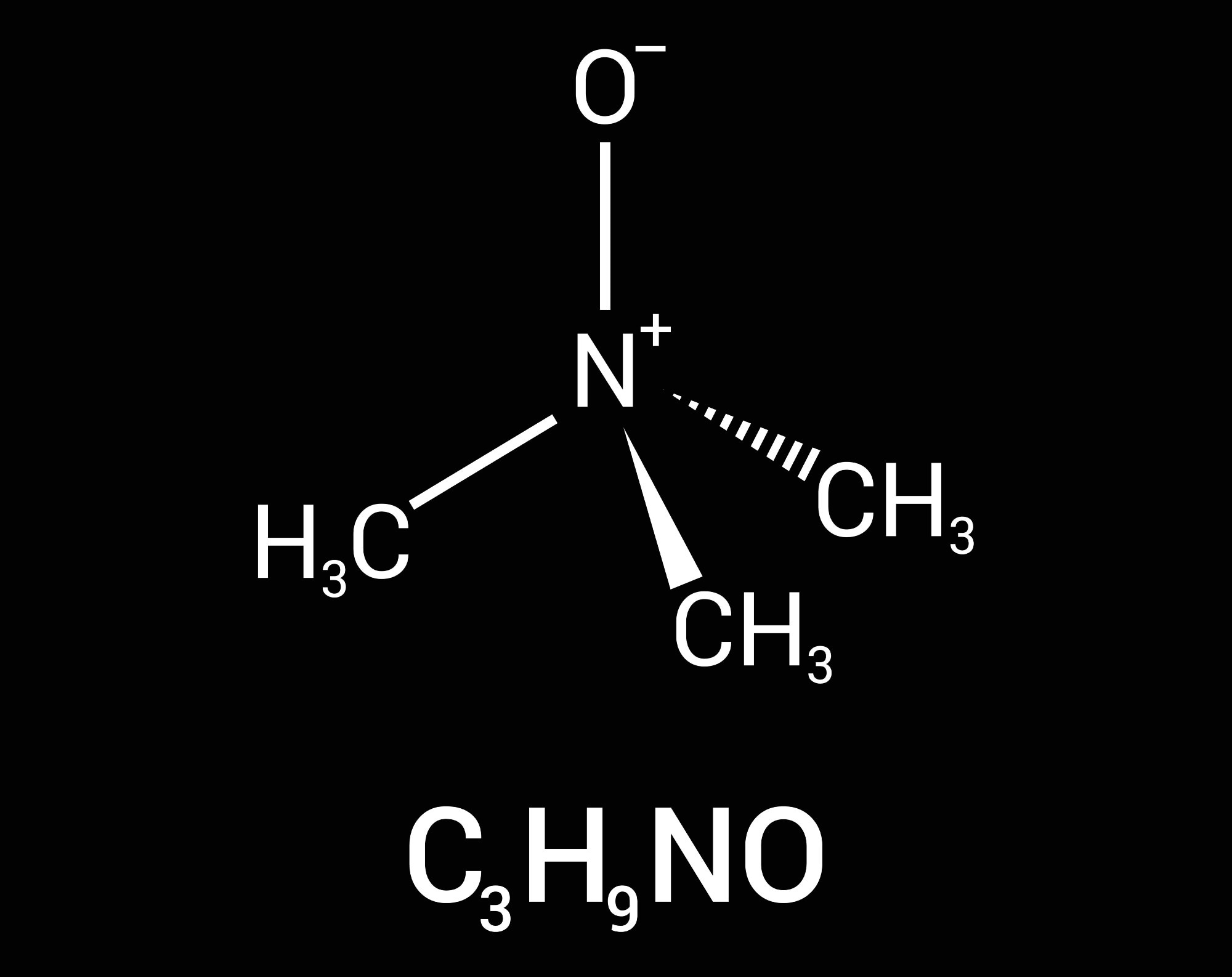 Review: Trimethylamine-N-Oxide (TMAO) as a Rising-Star Metabolite: Implications for Human Health. Image Credit: zizou7 / Shutterstock
