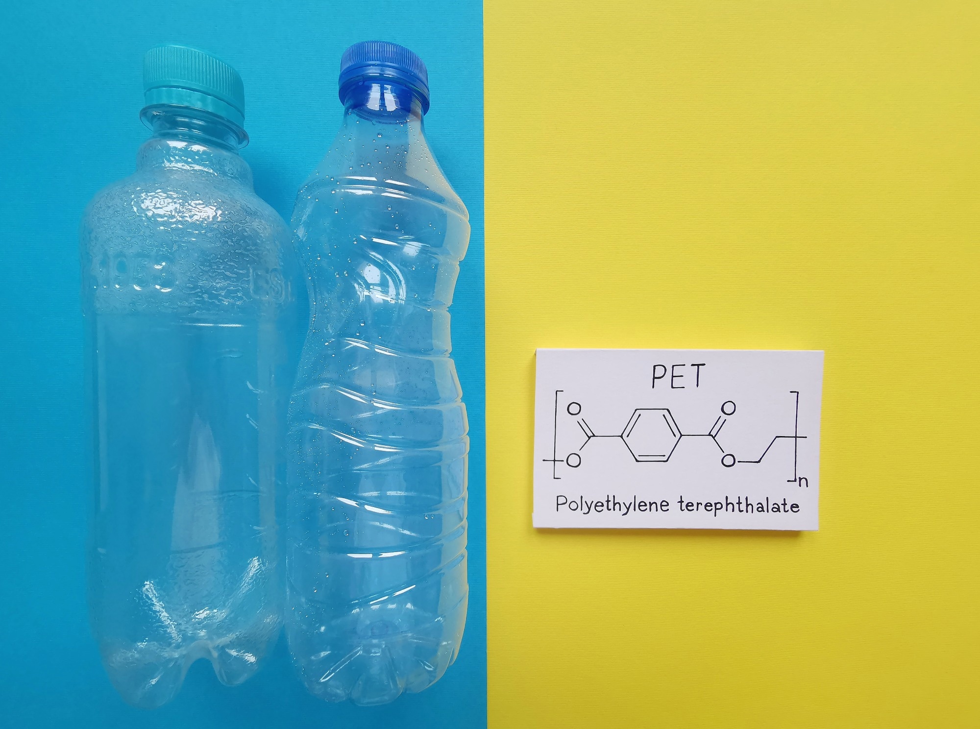 Image Credit: Danijela Maksimovic / Shutterstock