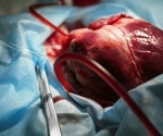 Breakthrough soft robotics could redefine artificial heart technology
