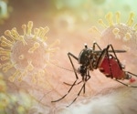 Chikungunya vaccine could stop millions of infections worldwide, study finds