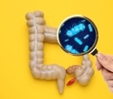 Researchers find gut bacteria rapidly soak up ‘forever chemicals’
