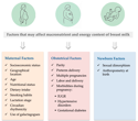Can your diet and health change your breast milk? Review uncovers the key maternal and birth factors