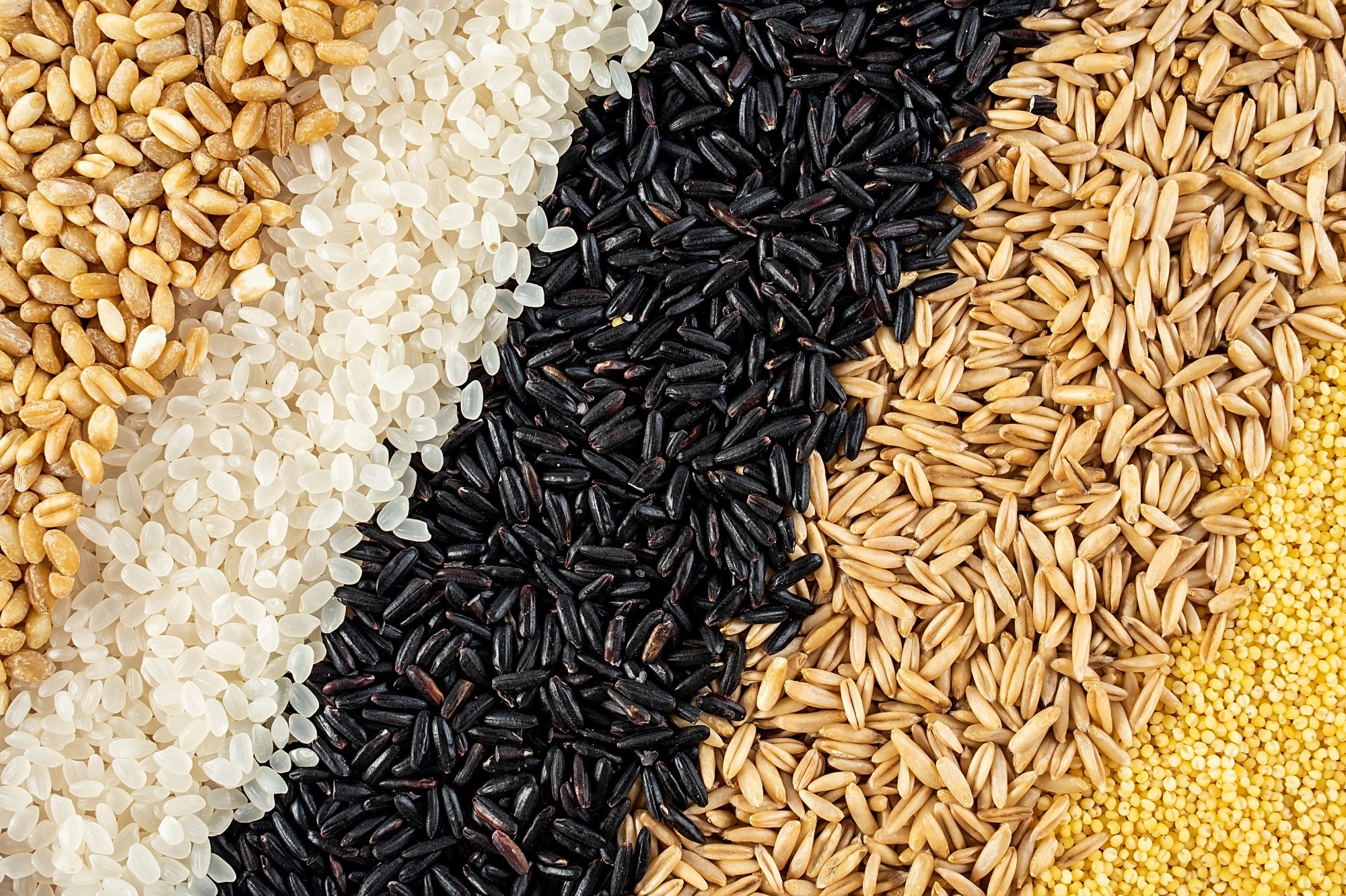Review: Healthy Grains in Healthy Diets: The Contribution of Grain Foods to Diet Quality and Health in the National Health and Nutrition Examination Survey 2017–2023. Image Credit: sisi2017 / Shutterstock