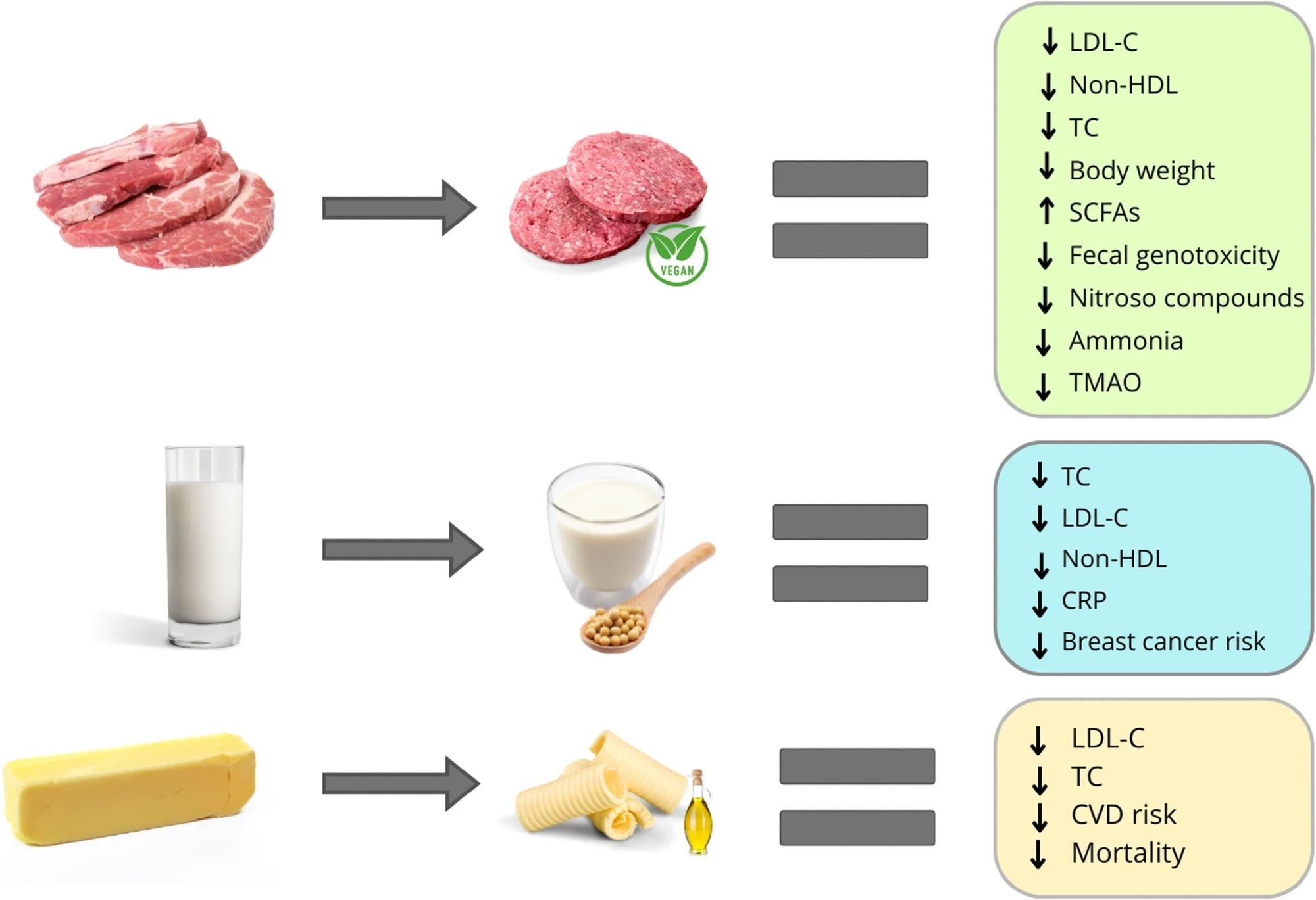 Health effects of substituting unprocessed animal foods with ultra-processed plant-based alternatives. Replacing dairy milk with soymilk leads to reduced levels of TC, LDL-C, and CRP, and it is associated with a lower risk of breast cancer. Substituting meat with plant-based analogs lowers TC, LDL-C, body weight, fecal genotoxicity, nitroso compounds, circulating TMAO, and ammonia, and augments the excretion of SCFAs. Replacing butter with margarine leads to a reduction in TC, LDL-C, CVD risk, and mortality. Abbreviations: Low-density lipoprotein cholesterol, LDL-C; non-high-density-lipoprotein cholesterol, non-HDL; total cholesterol, TC; short-chain fatty acids, SCFAs; trimethylamine oxide, TMAO; C-reactive protein, CRP; cardiovascular disease, CVD