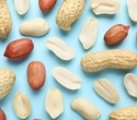 Eating peanuts while pregnant may influence how a child’s genes respond to breastfeeding