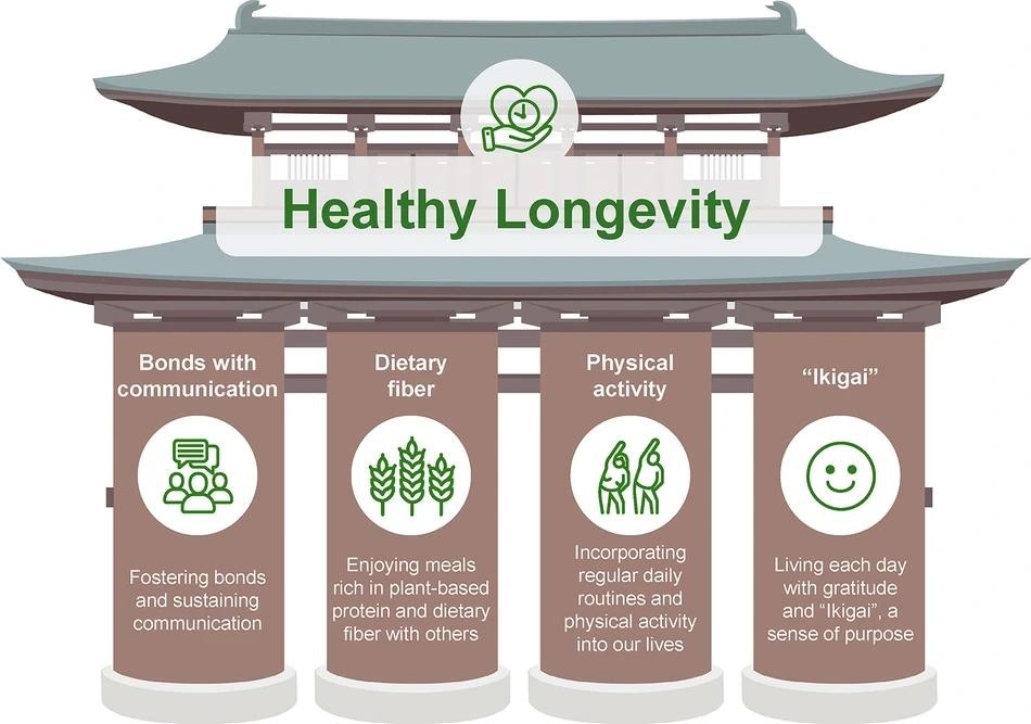 The illustration conceptualizes how fostering bonds and communication, plant-based communal dining rich in dietary fiber, daily routines with physical activity, and living with gratitude and “Ikigai” collectively support the vision of healthy longevity.