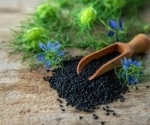 Black cumin: A promising natural agent with potential against chronic diseases