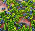 Microbial warning signs that predict death risk in severe pneumonia