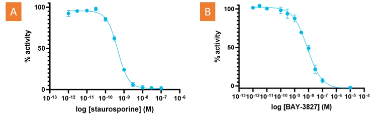 Accelerating kinase drug discovery with validated kinase activity assay kits