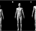 The long and short of it: Human penis size evolved for both attraction and rivalry, study suggests