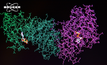 Exploring the intersection of biology and proteomics