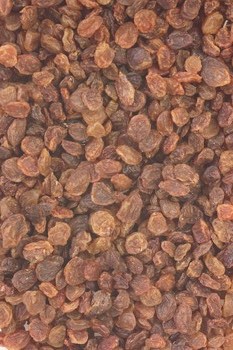 Compounds found in raisins fight bacteria in the mouth that cause cavities and gum disease, according to researchers at the University of Illinois at Chicago.