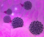 HPV and Warts