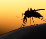 Researcher wins three NIH grants to tackle mosquito-borne viruses