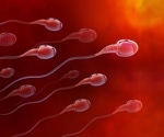 Study sheds new light on male infertility