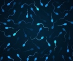 Cancer risk elevated in families with male infertility