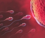 Researchers identify key protein that plays an essential role in male fertility