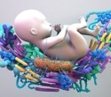Social living allows genetic effects to spread through the gut microbiome