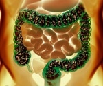 Research reveals how the gut microbiome supports successful pregnancy