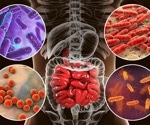 Advances in delivering oxygen-sensitive gut bacteria improve microbial therapies
