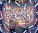 Genes influence the gut microbiome beyond the individual