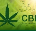 Cannabis extract can improve behavior of children and teens with autism spectrum disorder