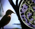 Public health experts outline critical steps in handling HPAI H5N1 spread