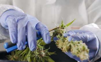 Pittcon Thought Leader: Rabi Ann Musah