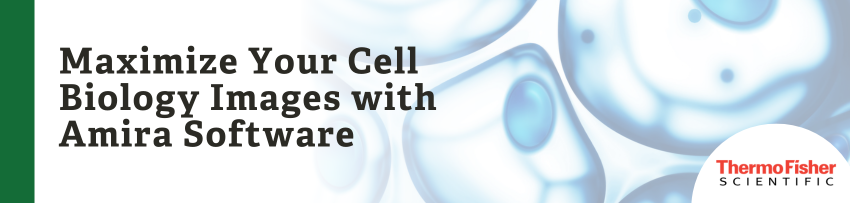 Maximize your cell biology images with Amira Software