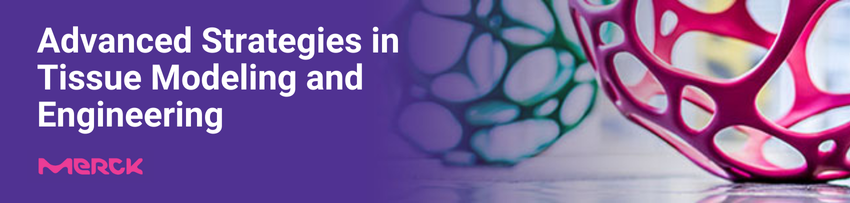 Innovations in scaffold-free tissue engineering and 3D bioprinting