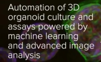 Automating 3D organoid culture and assays with machine learning